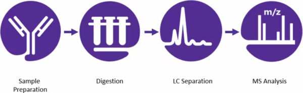 About Peptides Ultra Pure Bioscience
